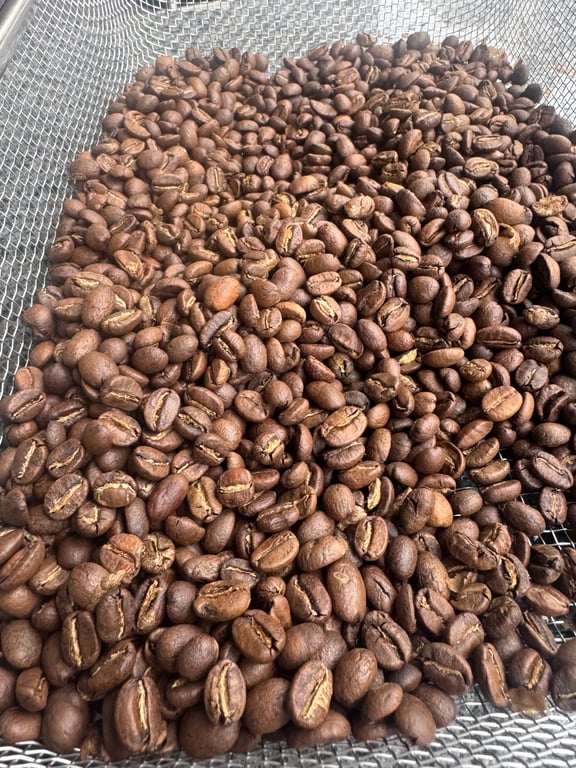 中度烘焙完成後的咖啡豆，冷卻中，顏色均勻