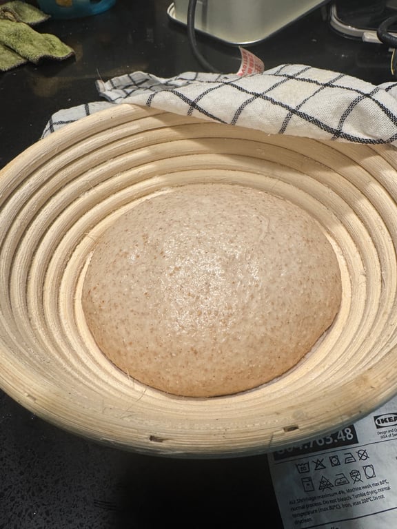 竹籃中的最終發酵狀態，表面平滑微隆