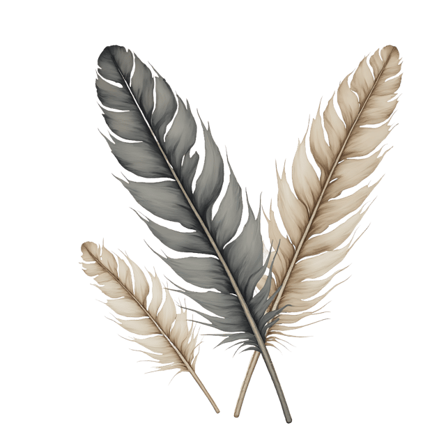 Free transparent PNG: Ruffled Feather Edge Near Feather Cluster  Bird Clipart, free transparent png download