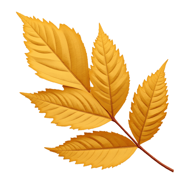 Free transparent PNG: Golden Dry Leaf with Shimmer Realistic Illustration on White Background