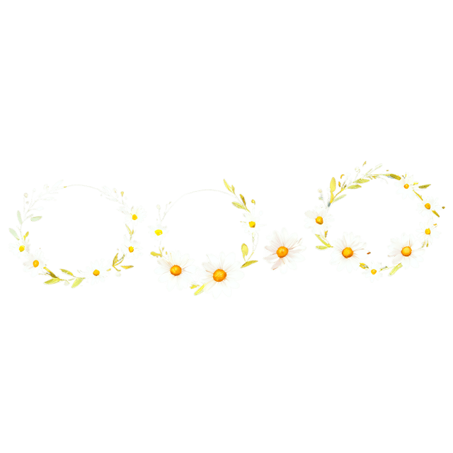 Free transparent PNG: Daisy Garland Watercolor Illustration – Transparent PNG for Floral Designs & Decor