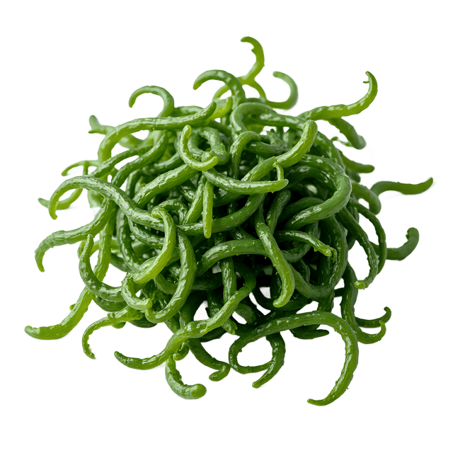 Free transparent PNG: Seaweed PNG Clipart  Perfect for Nature Projects, Crafts  Decor