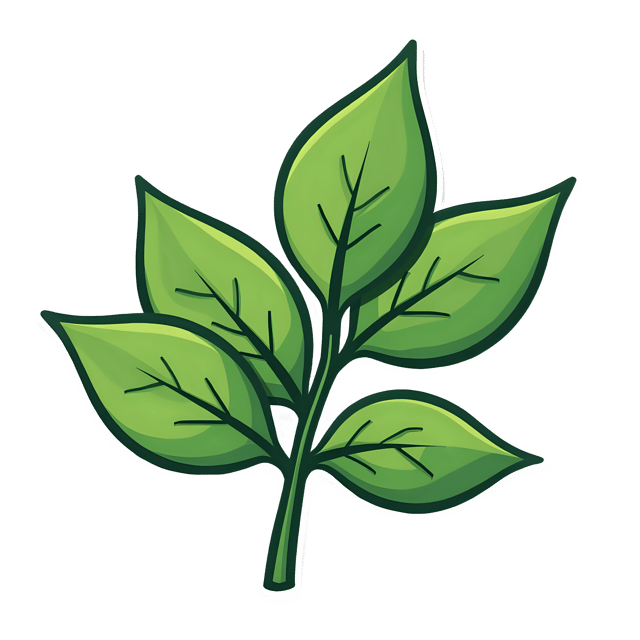 Free transparent PNG: Fresh Sage Leaves  Herb Clipart, free downloadable png