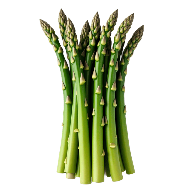 Free transparent PNG: Asparagus PNG Clipart  Ideal for Spring Projects, Healthy Eating  Decor