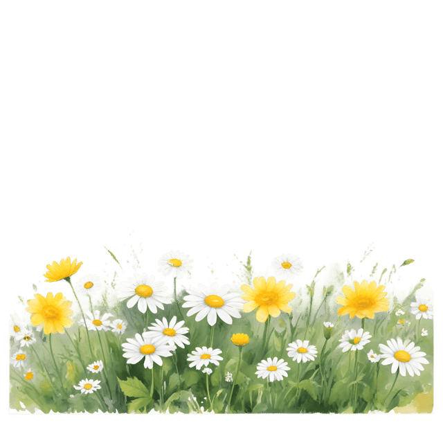 Free transparent PNG: Tranquil Meadow with Buttercups and Daisies PNG Image for Nature Lovers and Decor
