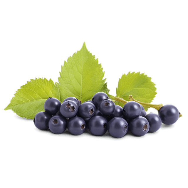 Free transparent PNG: Transparent Currant Berry PNG Image for Design and Crafting Projects
