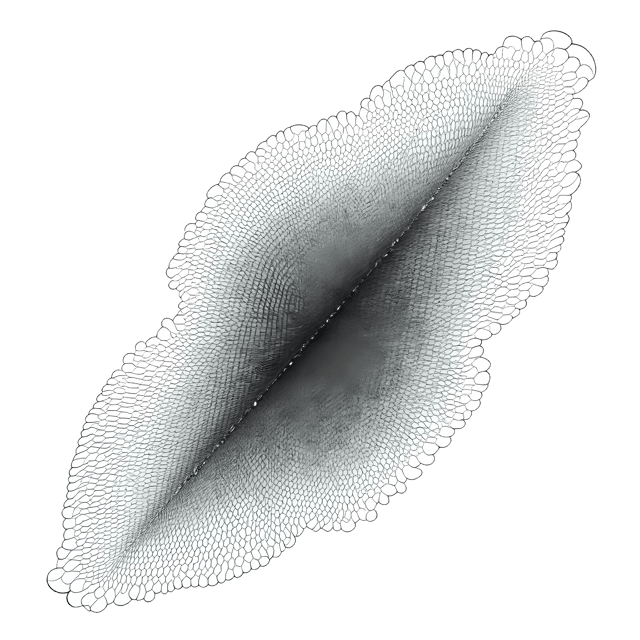 Free transparent PNG: Mesh Abstract Design Element PNG Clipart  Versatile for Art and Design