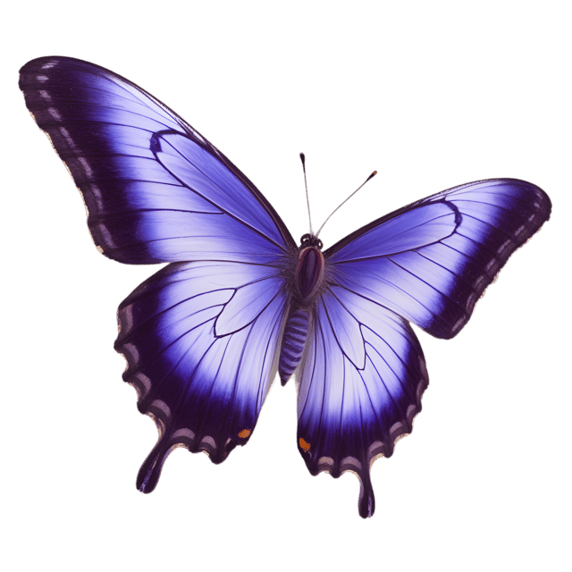 Free transparent PNG: Purple Emperor Butterfly PNG with Transparent Background for Art and Design