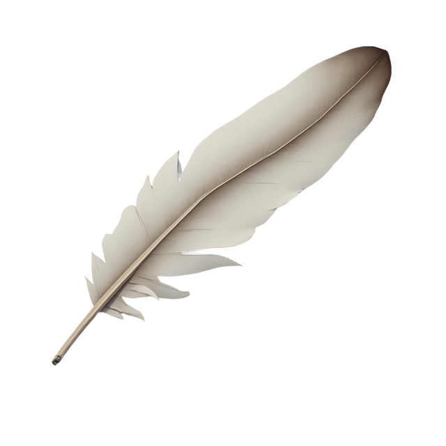 Free transparent PNG: Curved Flight Feather  Elegant Bird Clipart, free transparent png download