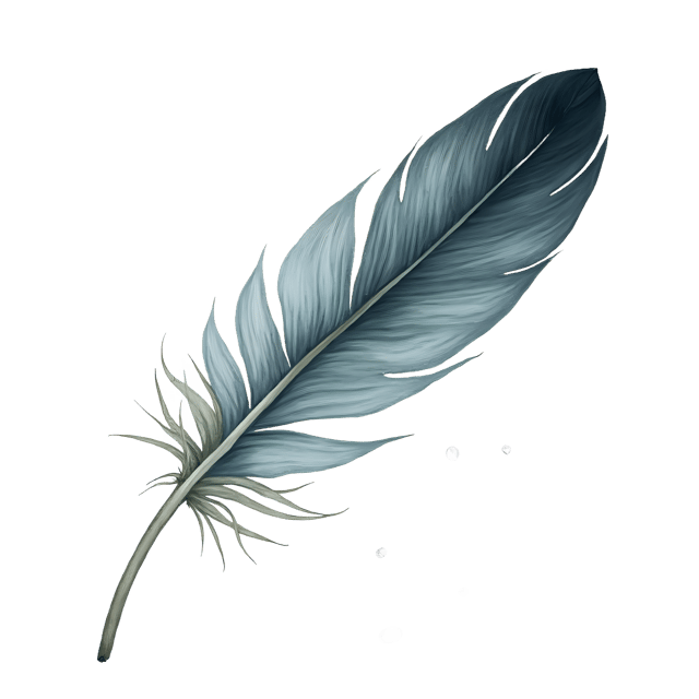 Free transparent PNG: Delicate Feather Tip with Dewdrop  Free PNG Download