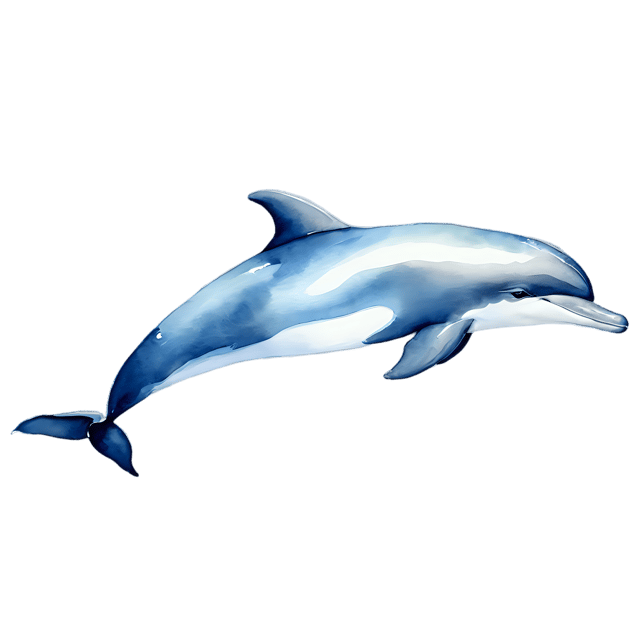 Free transparent PNG: Dolphin Watercolor Illustration – Transparent PNG for Sea-Themed Designs