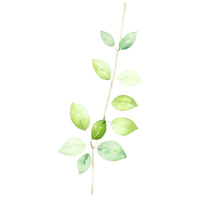 Free transparent PNG: Watercolor Garden Vine Ornament PNG – Transparent Watercolor Illustration