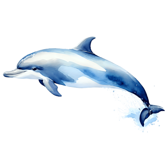 Free transparent PNG: Watercolor Dolphin Transparent PNG – Gentle Illustration for Design and Decor