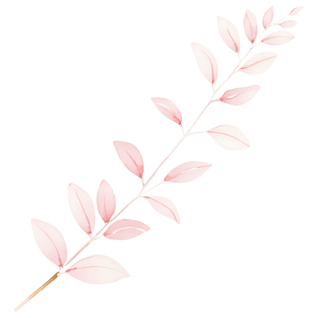 Free transparent PNG: Delicate Blossom Watercolor PNG – Transparent Flower Illustration