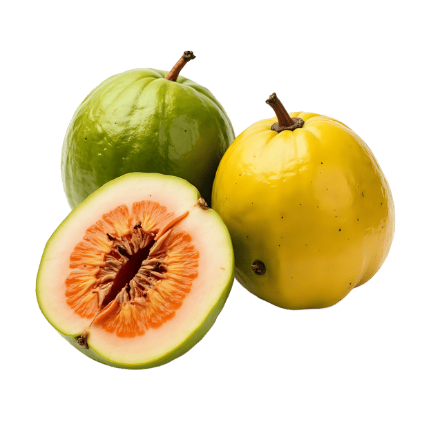 Free transparent PNG: Guava PNG Clipart  Perfect for Tropical Design  Healthy Projects