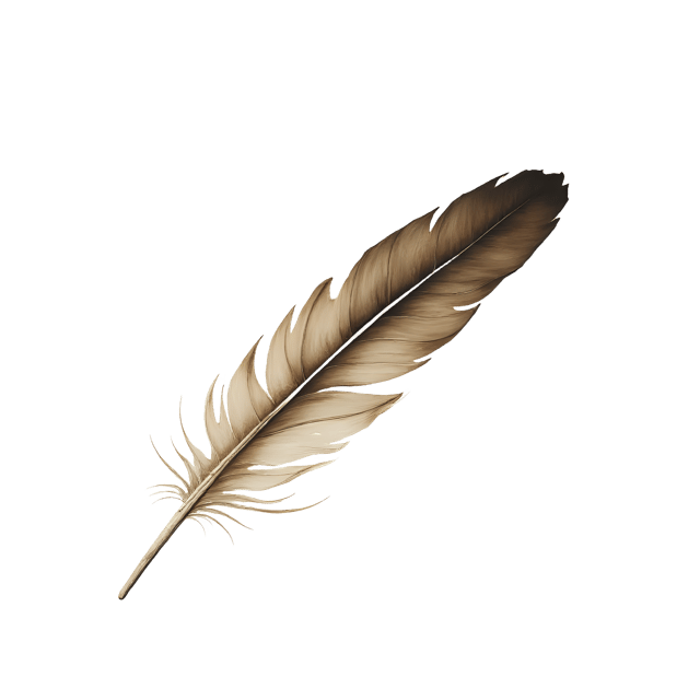 Free transparent PNG: Long Quill Feather  Elegant Curve Clipart, free transparent png download