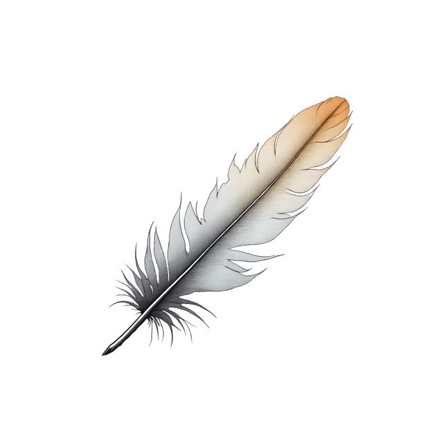 Free transparent PNG: Curved Flight Feather Under Soft Light  Nature Clipart, free download png