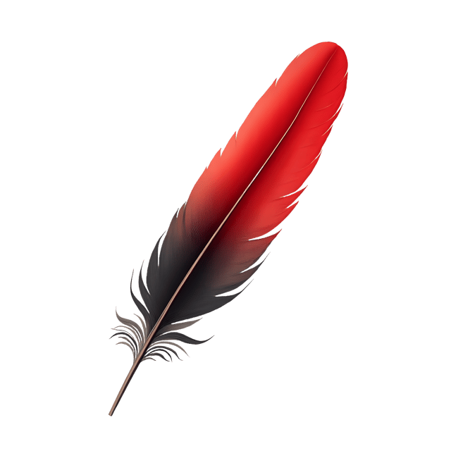 Free transparent PNG: Feather with Red Tip  Bird Clipart, free transparent png download