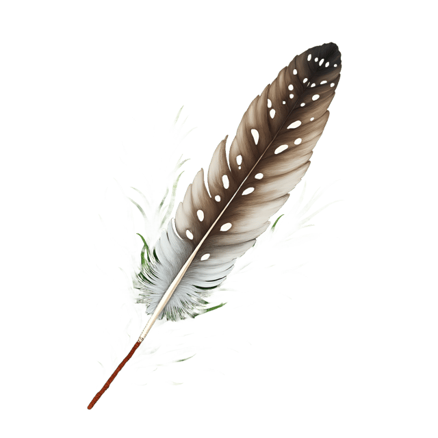 Free transparent PNG: Speckled Wing Feather Across Pine Needles  Nature Clipart, free transparent png download