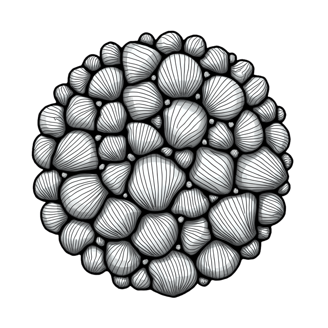 Free transparent PNG: Shell Tesserae PNG Clipart  Ideal for Artistic Patterns  Decorative Design