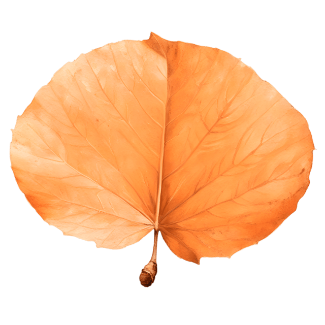 Free transparent PNG: Dry Brown Leaf Transparent PNG for Nature and Craft Projects