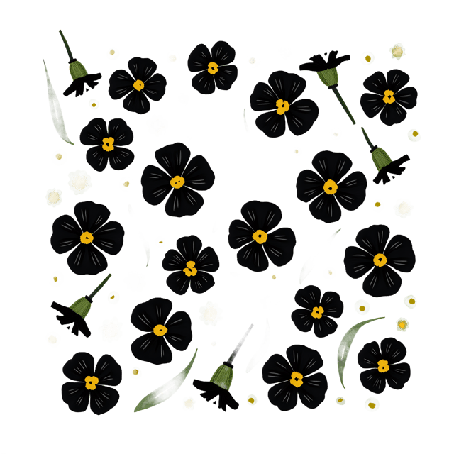 Free transparent PNG: Black Panies Transparent PNG for Floral Design and Crafts