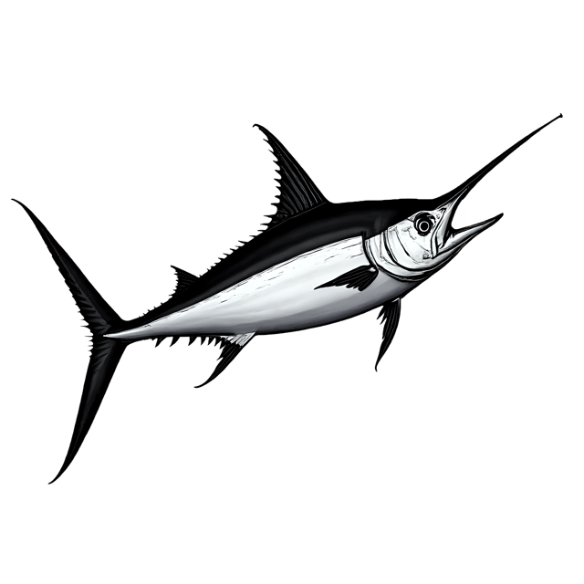 Free transparent PNG: Marlin Fish PNG Clipart  Ideal for Ocean Themes, Art  Educational Projects