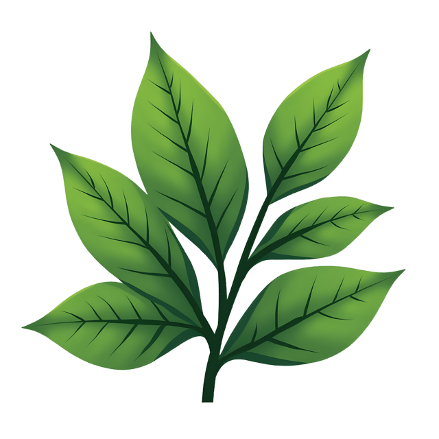 Free transparent PNG: Tea Leaves Bunch  Nature Clipart, free transparent png download