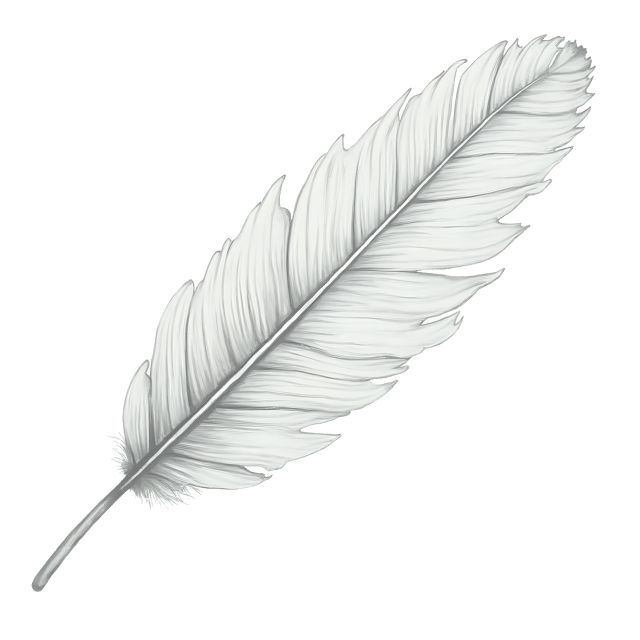 Free transparent PNG: Soft White Feather with Silver Sheen  Elegant Clipart, free png download