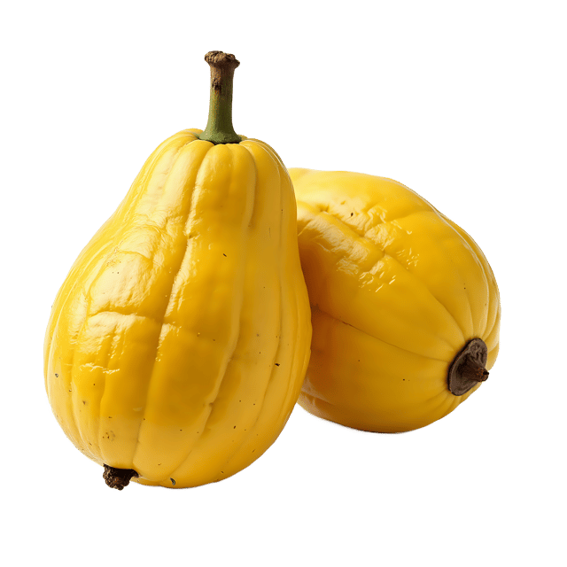 Free transparent PNG: Breadfruit PNG Clipart  Perfect for Tropical Cuisine  Cultural Designs