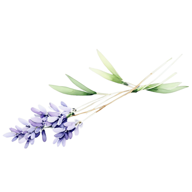 Free transparent PNG: Watercolor Lavender Sprig Trim – Transparent PNG Illustration for Crafts & Design