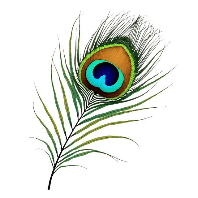 Free transparent PNG: Iridescent Peacock Feather  Free Downloadable PNG with Mirror Clipart