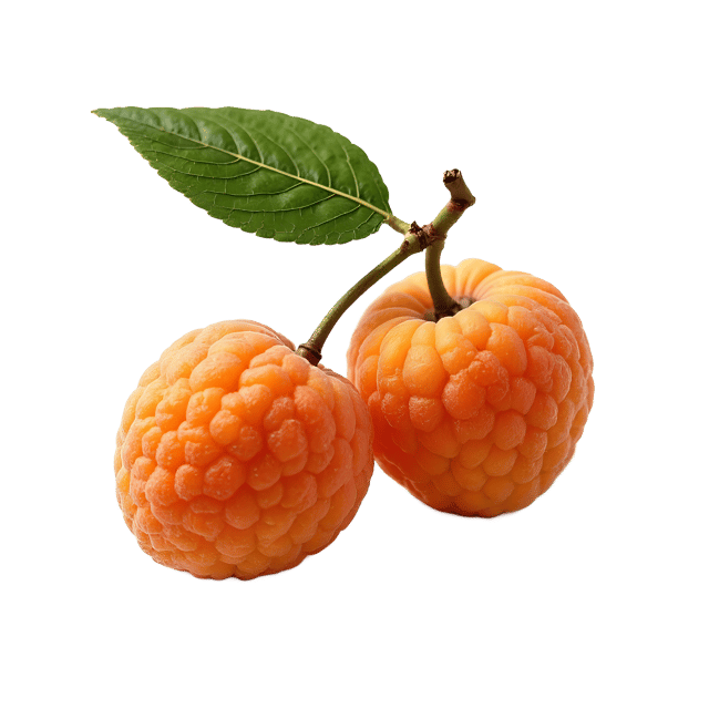 Free transparent PNG: Lychee PNG Clipart  Perfect for Tropical Themes, Desserts  Crafts