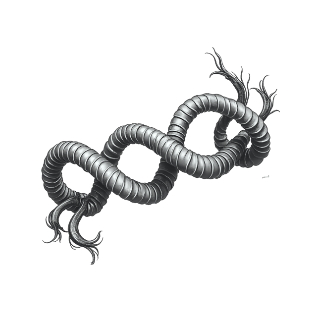 Free transparent PNG: Shiny Twist Ribbon  Elegant Clipart, free transparent png download