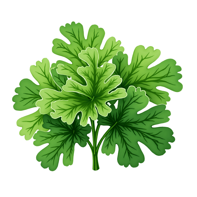 Free transparent PNG: Collard Greens Realistic Watercolor Painting for Kitchen, Recipe, and Food Art
