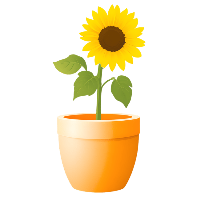 Free transparent PNG: Single Sunflower in Ceramic Pot PNG with Transparent Background