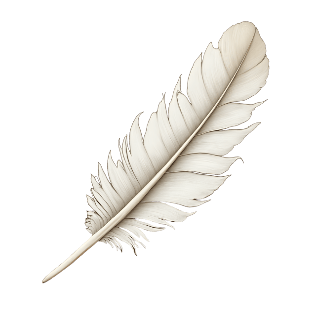 Free transparent PNG: Soft White Feather  Elegant Clipart, free transparent png download