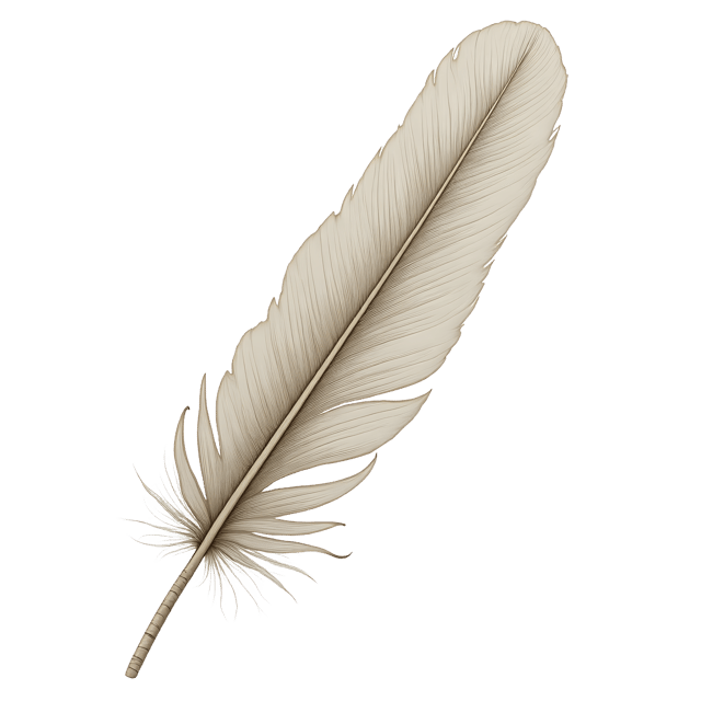 Free transparent PNG: Delicate Feather Tip Beside Silk Petal  Elegant Clipart Design, Free PNG Download