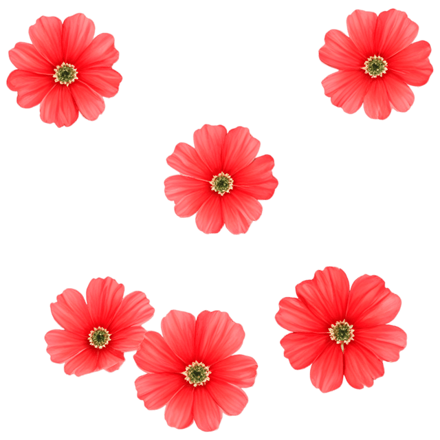 Free transparent PNG: Floral Bedding PNG with Transparent Background for Nursery and Crafting