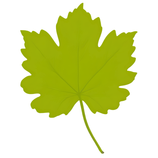 Free transparent PNG: Grape Leaf Transparent PNG Background for Botanical Art and Design Projects