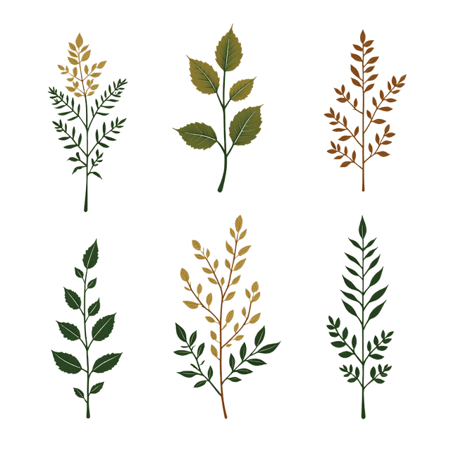 Free transparent PNG: Delicate Symmetrical Vines PNG Nature Motifs with Transparent Background