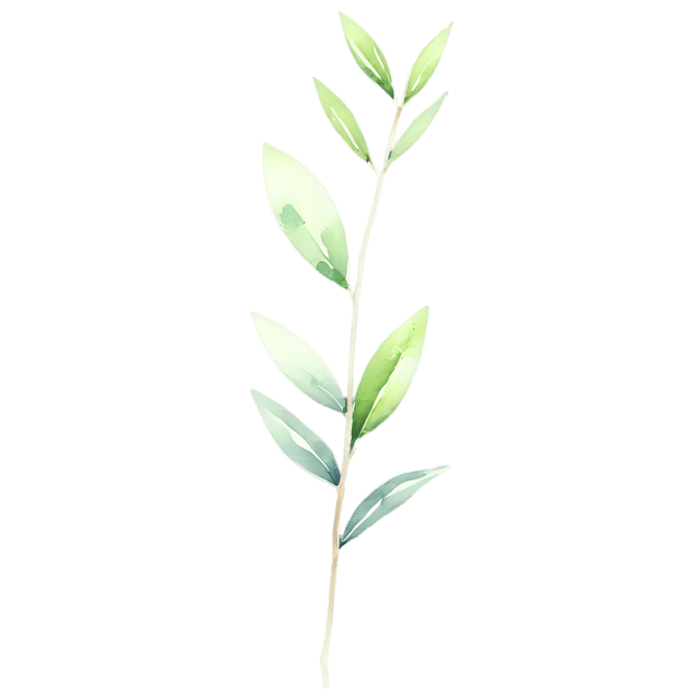 Free transparent PNG: Herbal Sprig Watercolor PNG – Transparent Background Herbal Clipart