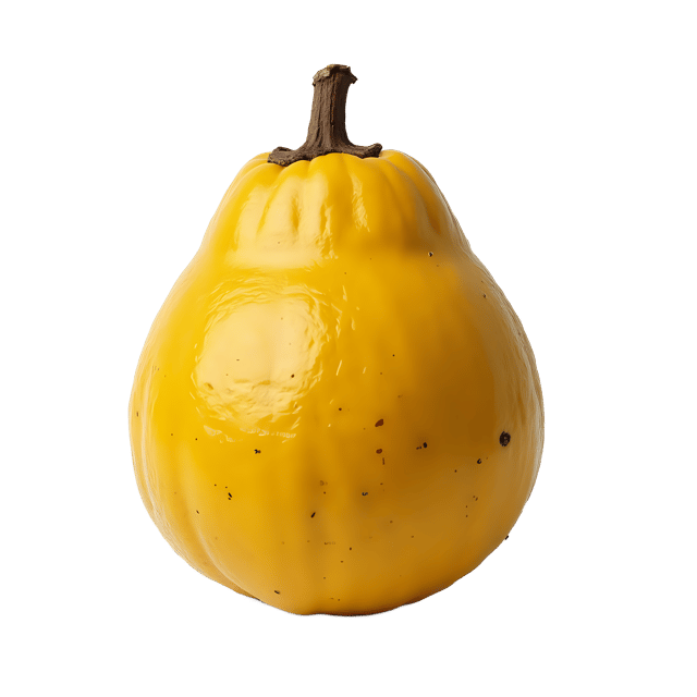 Free transparent PNG: Breadfruit PNG Clipart  Versatile Fruit for Design and Education