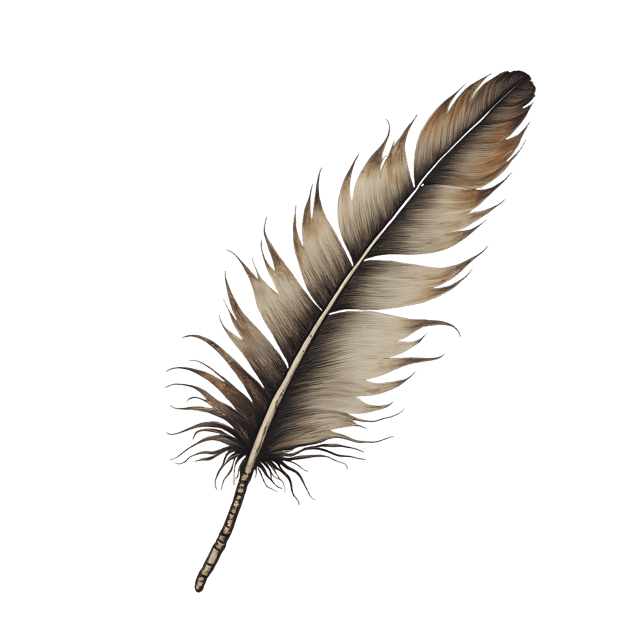 Free transparent PNG: Wet Feather Clump  Bird Clipart, free transparent png download