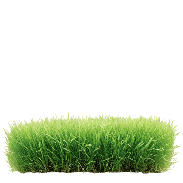 Free transparent PNG: Fresh Green Grass under Sunny Sky Transparent PNG