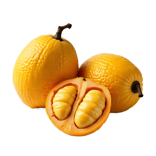 Free transparent PNG: Jackfruit PNG Clipart  Ideal for Tropical Themes, Crafts  Decor