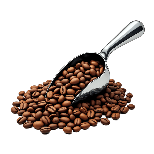 Free transparent PNG: Coffee Beans with Silver Scoop  Free Coffee Clipart PNG Download