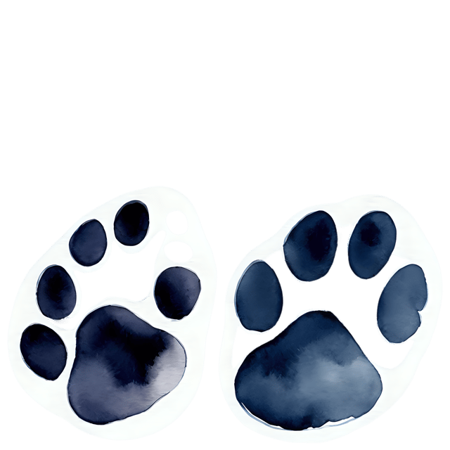 Free transparent PNG: Watercolor Paw Print Transparent PNG – Gentle Illustration for Crafts & Design