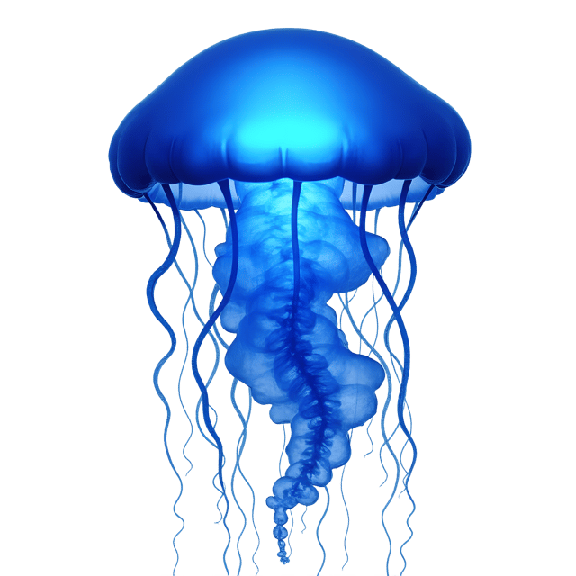 Free transparent PNG: Jellyfish  Underwater Life Clipart, free downloadable png