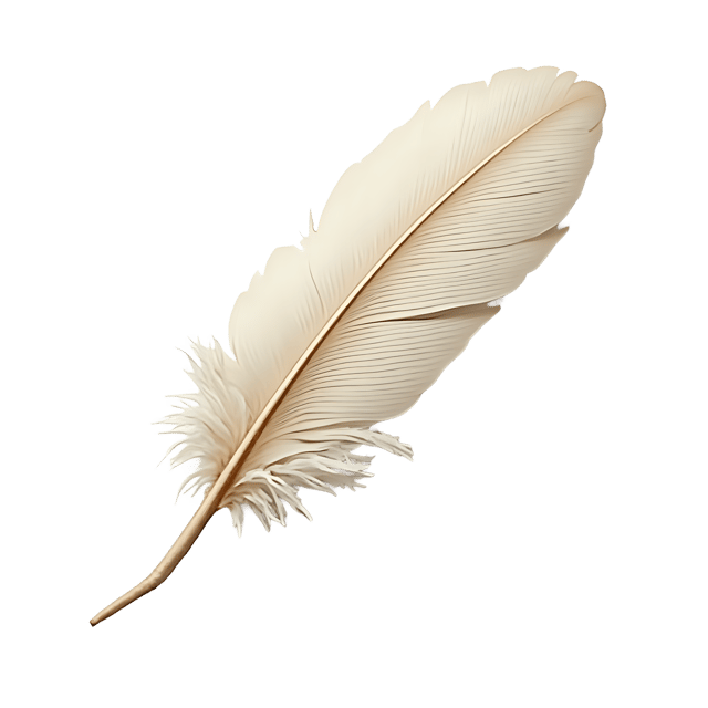 Free transparent PNG: Fluffy Down Feather on Ivory Fabric  High-Quality Clipart PNG Download